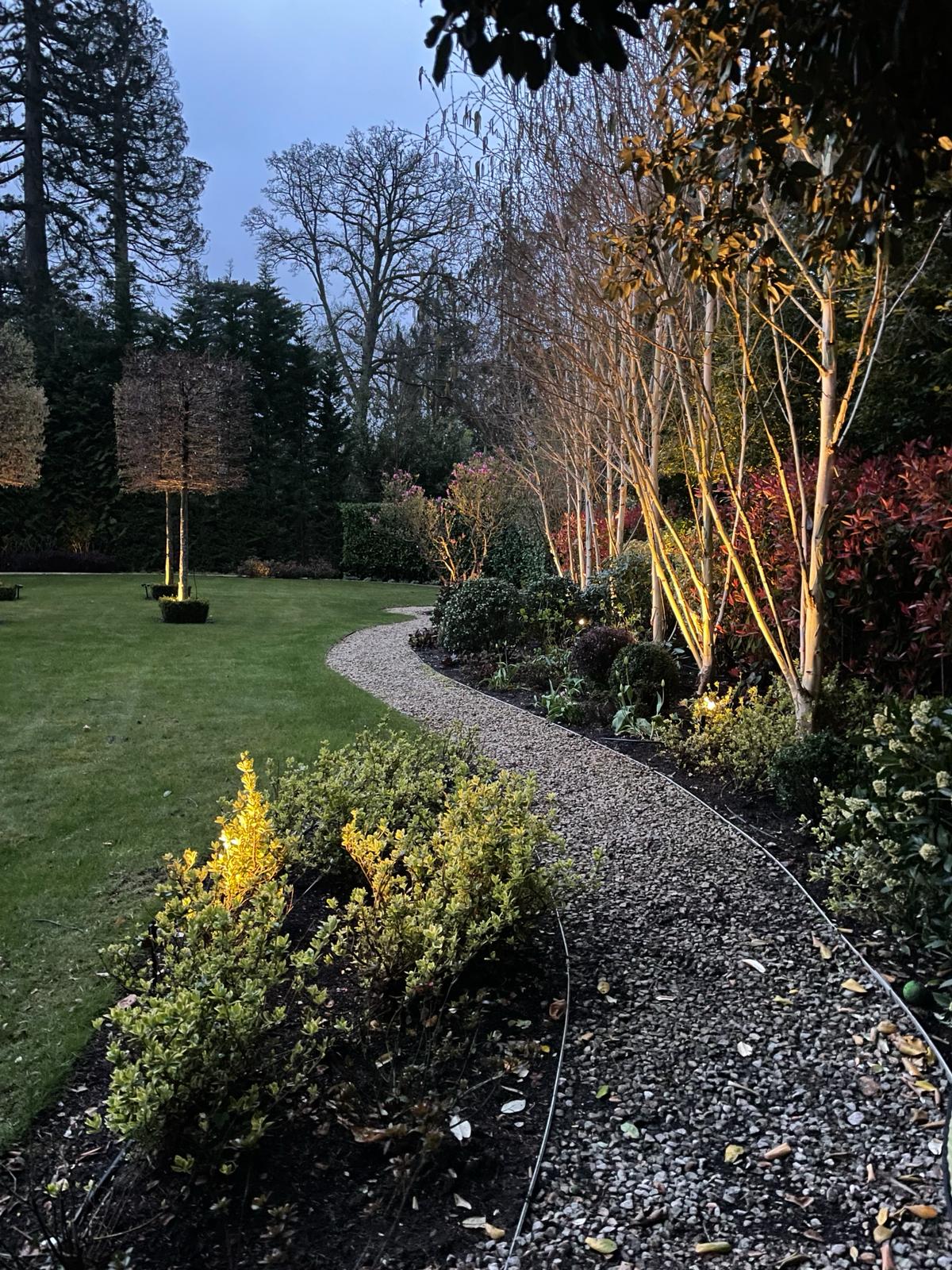 BSD Electrical Services