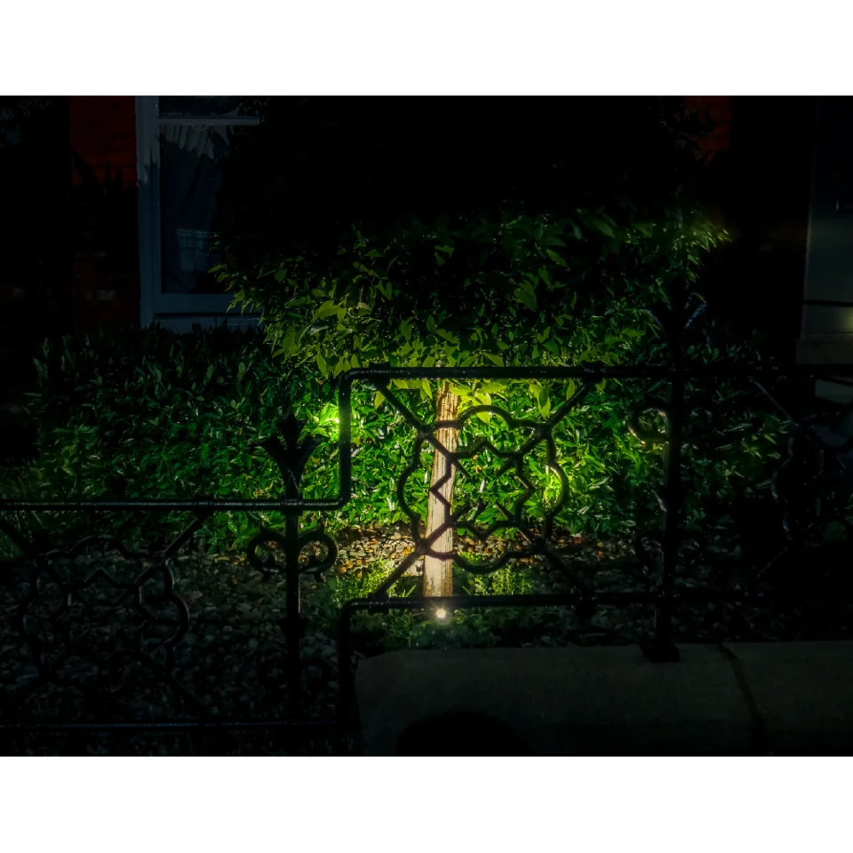 Wide micro spike spot in situ — Trees