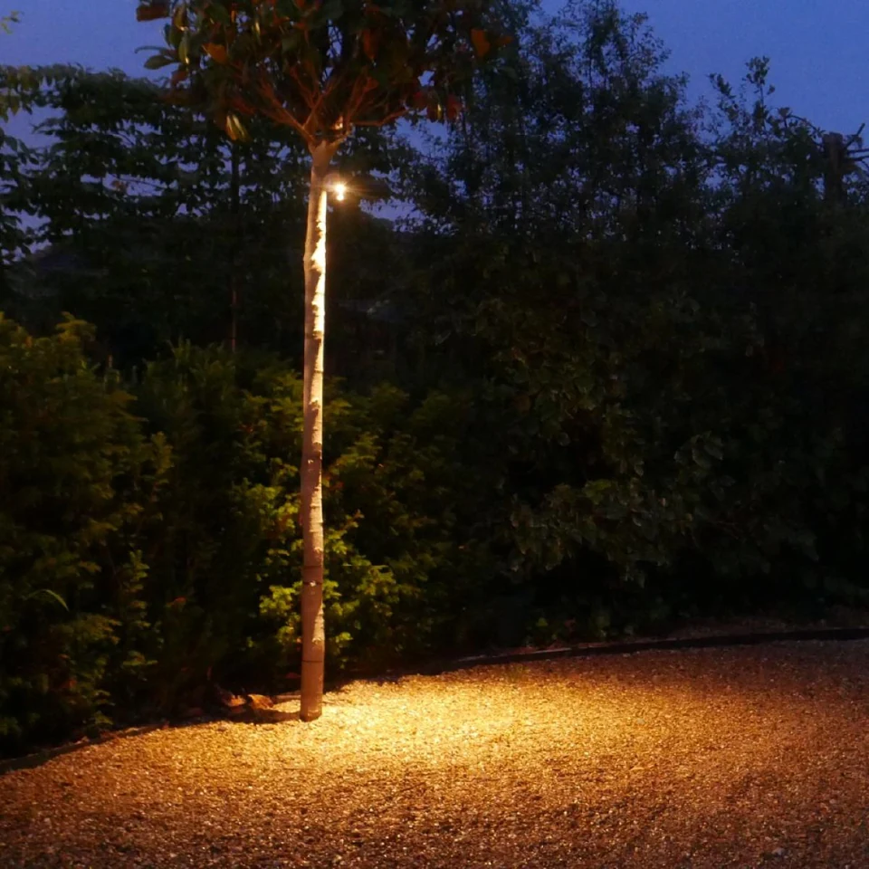 Downward illumination along a gravel driveway