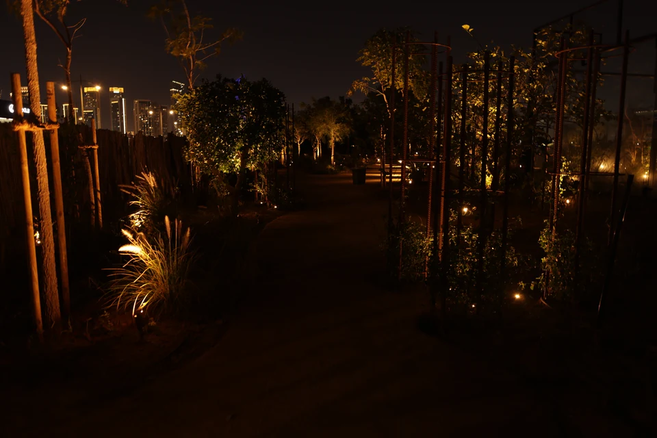 Micro inset light in situ — Trees