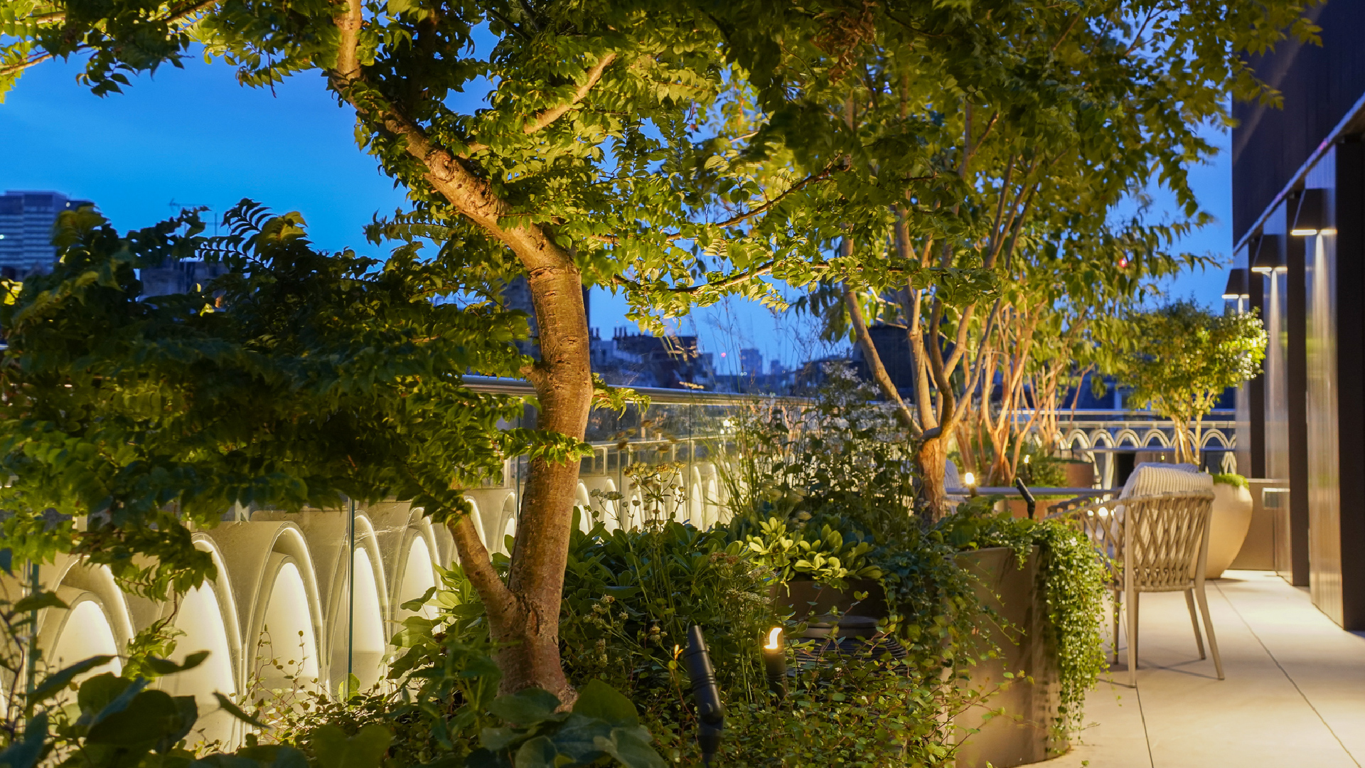 Beautiful garden lighting at night