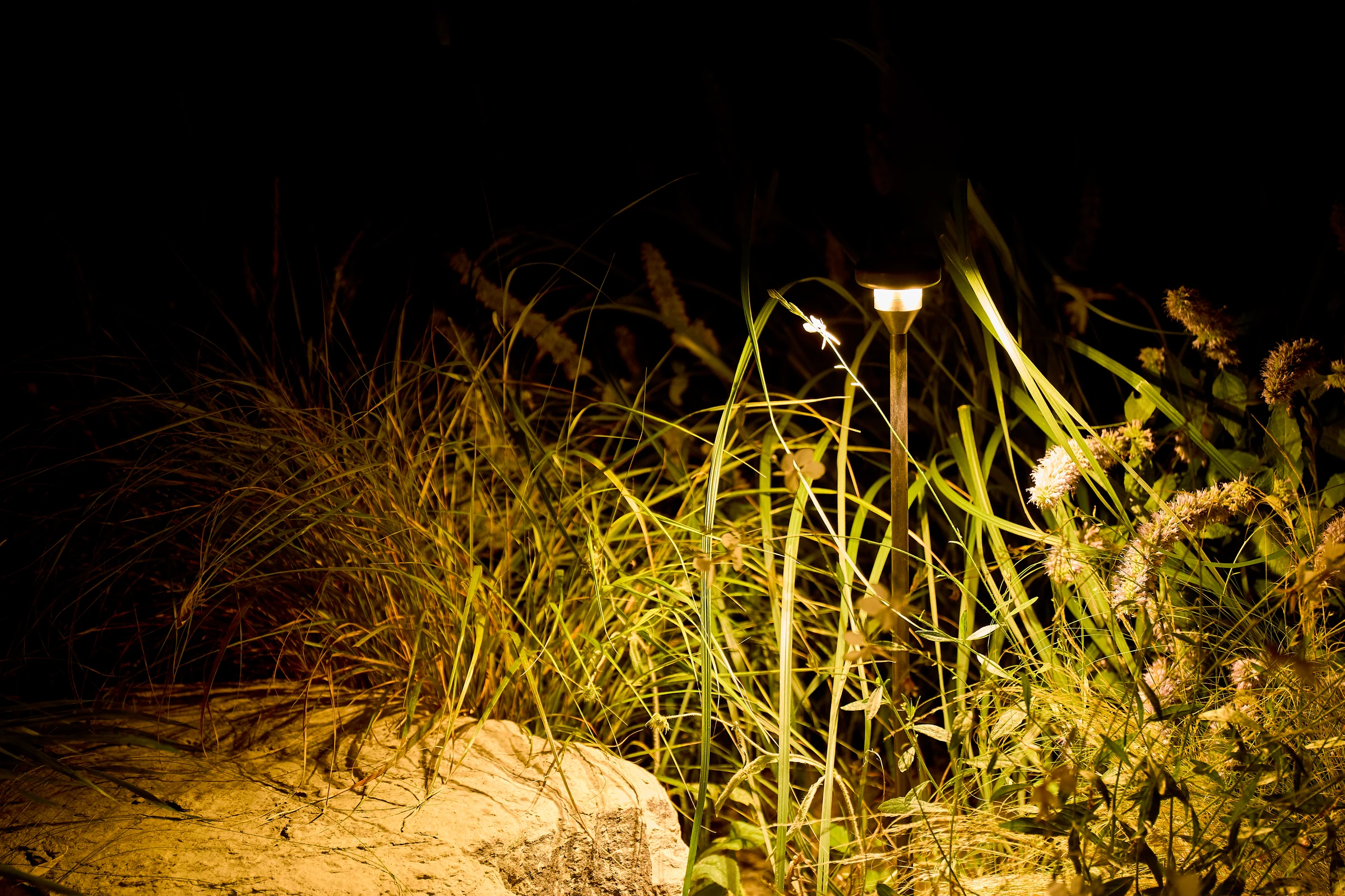 Planting lighting example