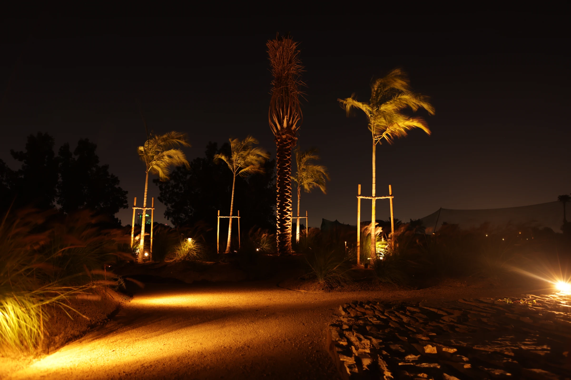 Trees lighting example