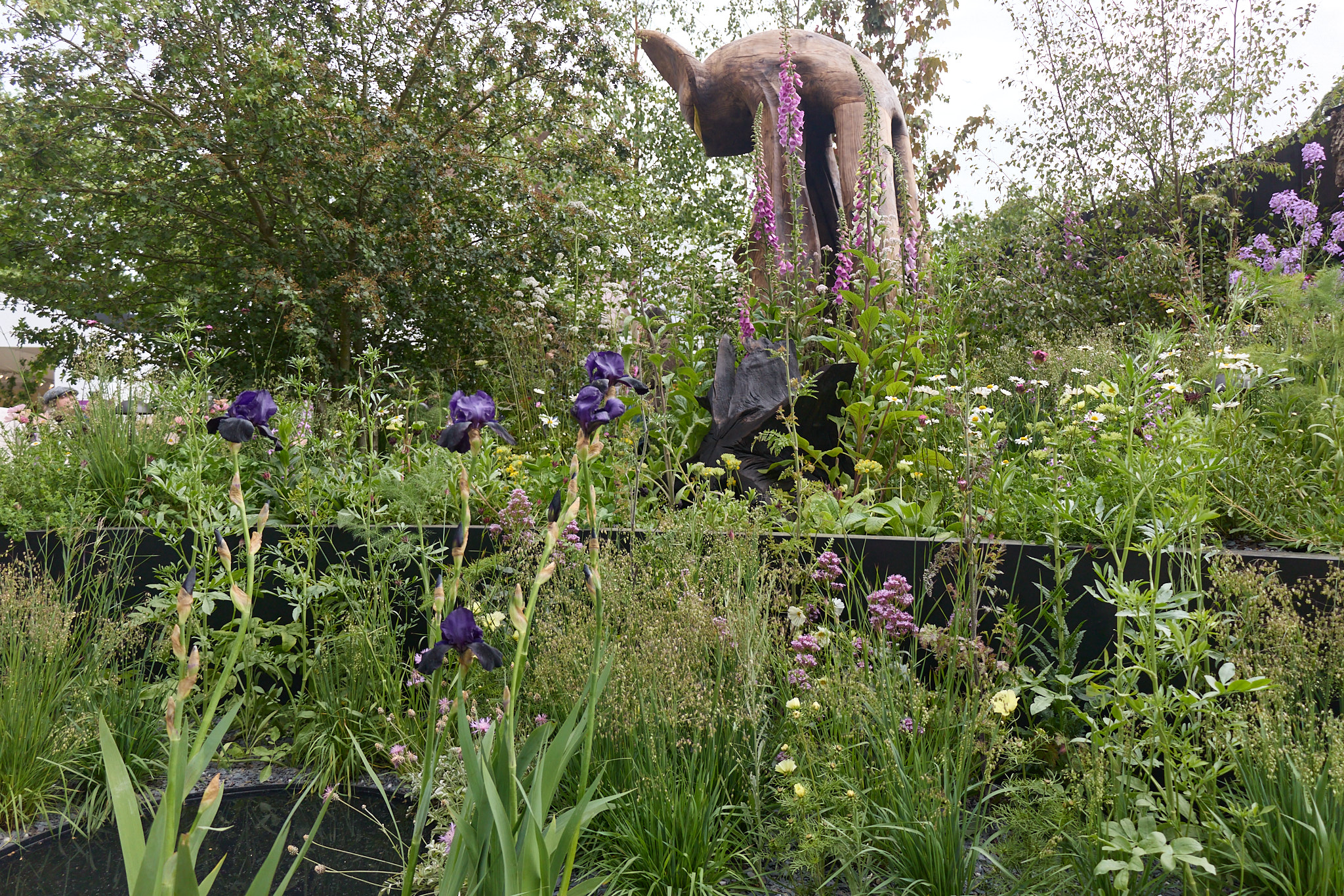 Garden designer Melanie Hick at the Bat Conservation Trust's Nocturnal Garden, RHS Chelsea Flower Show 2026
