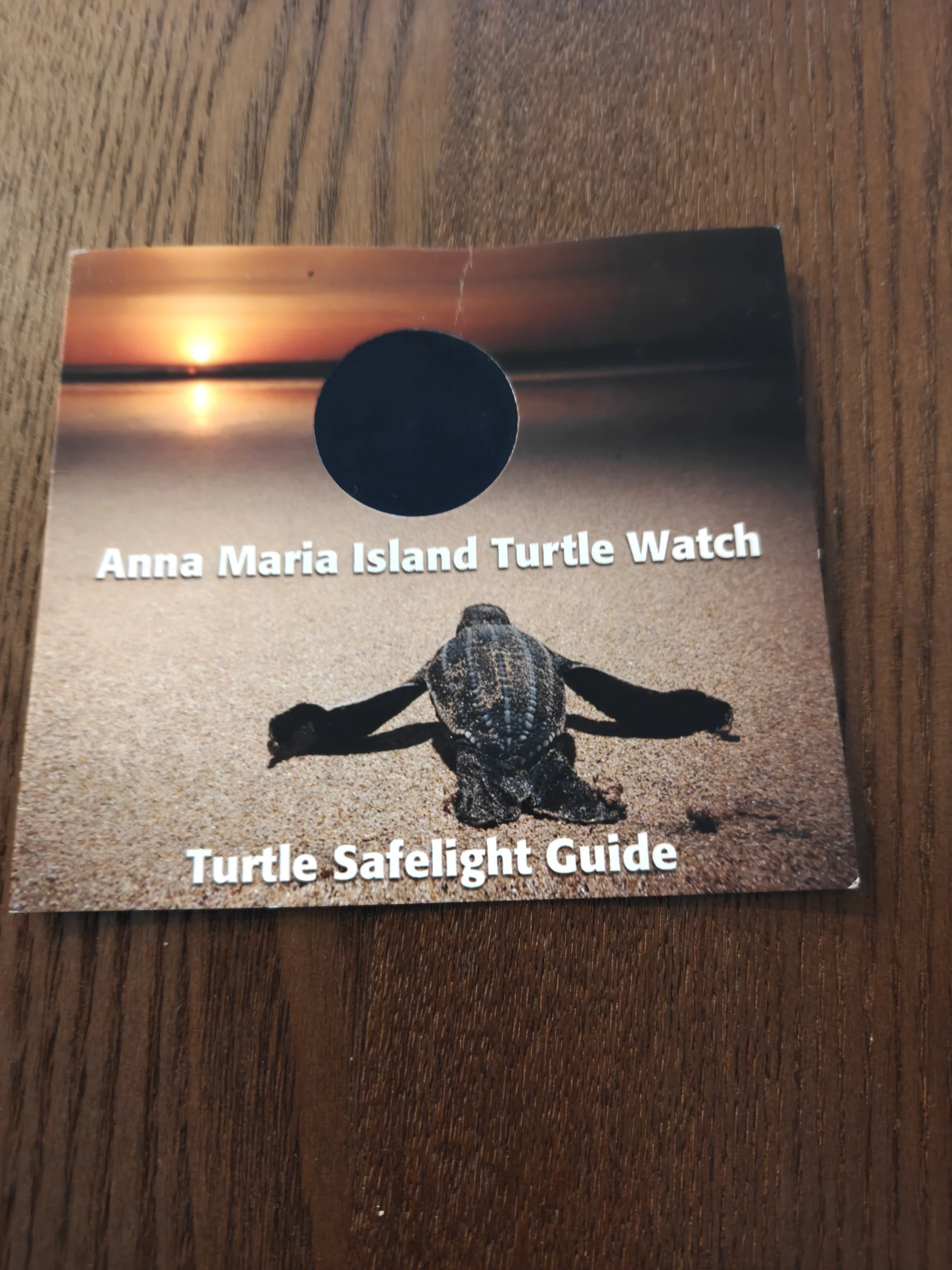 Front of the Anna Maria Island Turtle Watch Turtle Safelight Guide card